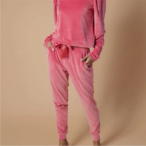 RACHEL PARCELL Stretch Soft Velour Drawstring Jogger Sweatpants  - Small - Picture 1 of 12